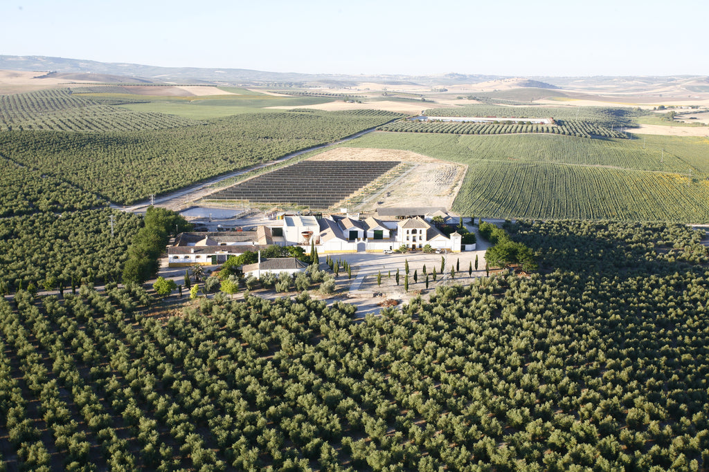 Cordobská Finca Duernas